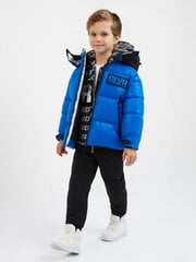 Куртка для мальчиков GULLIVER Blue, синяя цена и информация | Куртки для мальчиков | pigu.lt