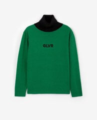 Свитер для мальчиков Gulliver, зеленый цвет цена и информация | Свитеры, жилетки, пиджаки для мальчиков | pigu.lt
