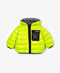 Куртка для мальчиков Gulliver, зеленый цвет цена и информация | Куртка для мальчика | pigu.lt