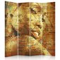 Pertvara Žemėlapis su moters portretu цена и информация | Širmos, kambario pertvaros | pigu.lt