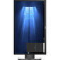 Dell P2417H LED 1920x1080 IPS DisplayPort HDMI kaina ir informacija | Monitoriai | pigu.lt
