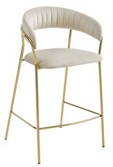 2-ių kėdžių komplektas Badia, smėlio spalvos kaina ir informacija | Virtuvės ir valgomojo kėdės | pigu.lt