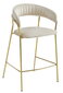 Kėdė Badia, smėlio spalvos kaina ir informacija | Virtuvės ir valgomojo kėdės | pigu.lt