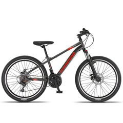 Подростковый велосипед Champions 24 Kaunos DB (KAU.2421D) серый/оранжевый цена и информация | Велосипеды | pigu.lt