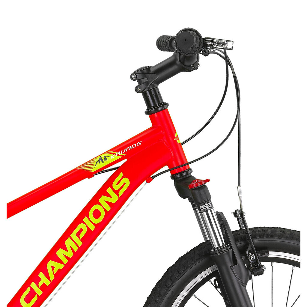 Vaikiškas dviratis Ozaktac Champions Kaunos VB 20", oranžinis kaina ir informacija | Dviračiai | pigu.lt