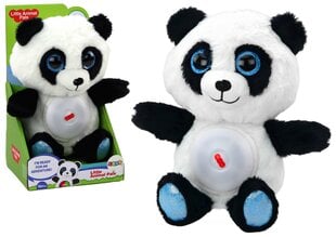 Projektorius su lopšinėmis Lean Toys Panda kaina ir informacija | Žaislai kūdikiams | pigu.lt