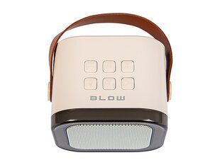 Blow AKGBLOGLO0048 цена и информация | Аудиоколонки | pigu.lt