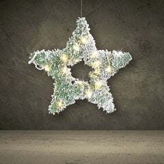 Kalėdinė dekoracija žvaigždė kaina ir informacija | Kalėdinės dekoracijos | pigu.lt