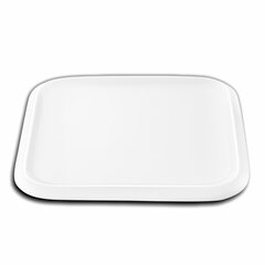 Lėkštė, 25,5x25,5 cm цена и информация | Посуда, тарелки, обеденные сервизы | pigu.lt