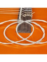 Комплект струн для классической гитары, Electronics LV-611, 6 шт. цена и информация | Принадлежности для музыкальных инструментов | pigu.lt