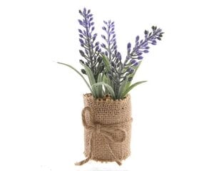 Dirbtinė gėlė vazone Levanda kaina ir informacija | Dirbtinės gėlės | pigu.lt