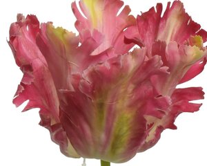 Dirbtinė gėlė Tulpė kaina ir informacija | Dirbtinės gėlės | pigu.lt