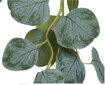 Dirbtinis augalas Eukaliptas kaina ir informacija | Dirbtinės gėlės | pigu.lt
