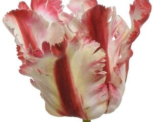 Dirbtinė gėlė Tulpė цена и информация | Искусственные цветы | pigu.lt