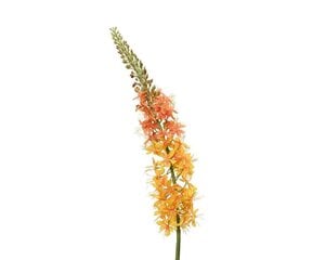 Dirbtinė gėlė Eremūras kaina ir informacija | Dirbtinės gėlės | pigu.lt