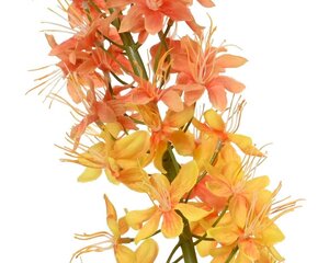 Dirbtinė gėlė Eremūras kaina ir informacija | Dirbtinės gėlės | pigu.lt
