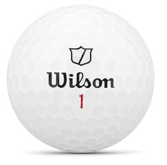 Набор мячиков для гольфа Wilson Staff Model X, 12 шт. цена и информация | Гольф | pigu.lt