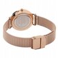 Laikrodis Daniel Wellington moterims, rose gold, 32mm kaina ir informacija | Moteriški laikrodžiai | pigu.lt