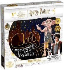 Dėlionė Harry Potter Dobby, 250 d. kaina ir informacija | Winning Moves Vaikams ir kūdikiams | pigu.lt