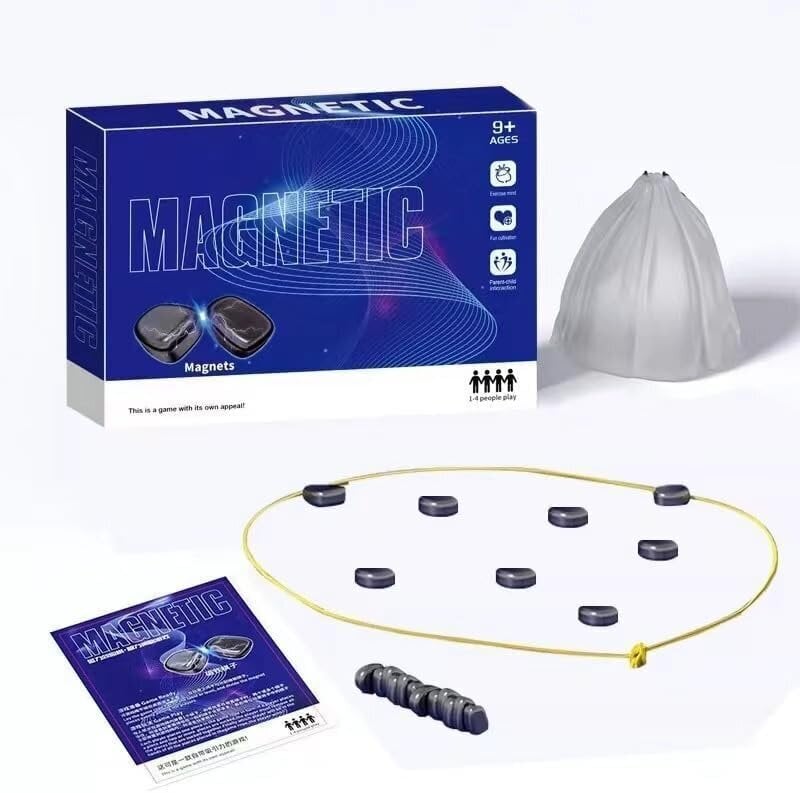 Magnetų dėliojimo žaidimas MalPlay kaina ir informacija | Stalo žaidimai, galvosūkiai | pigu.lt