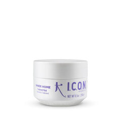 Plaukų kaukė I.C.O.N. Inner Home Treatment, drėkinanti, 250 ml kaina ir informacija | Priemonės plaukų stiprinimui | pigu.lt