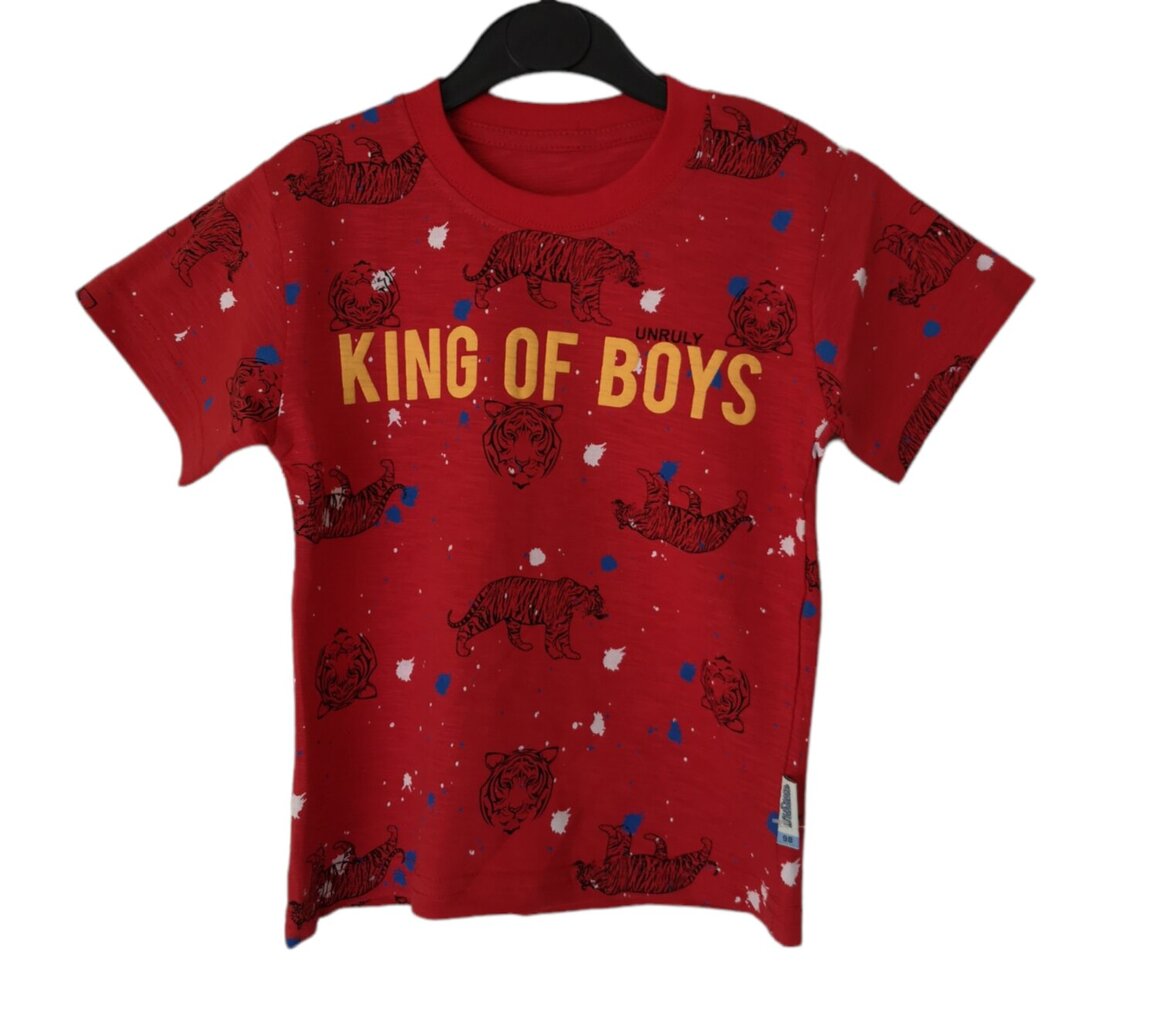 Marškinėliai berniukams Unruly, raudoni цена и информация | Marškinėliai berniukams | pigu.lt