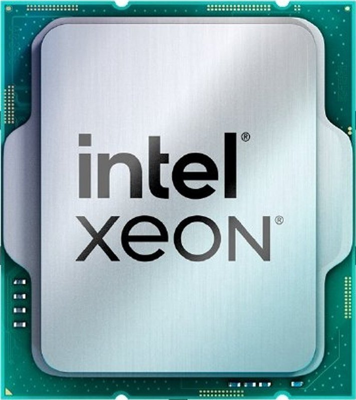 Intel Xeon E-2434 CM8071505025205 цена и информация | Procesoriai (CPU) | pigu.lt