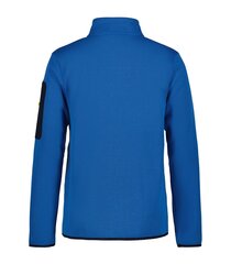 Мужская толстовка Bredstedt Icepeak, синий цена и информация | Мужская спортивная одежда | pigu.lt