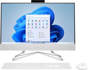 HP 24-df1000nw (84B17EA_16) цена и информация | Стационарные компьютеры | pigu.lt