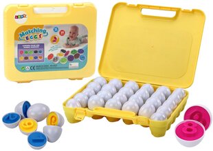 Edukaciniai kiaušiniai lagamine Lean Toys, 26 d. kaina ir informacija | Lavinamieji žaislai | pigu.lt