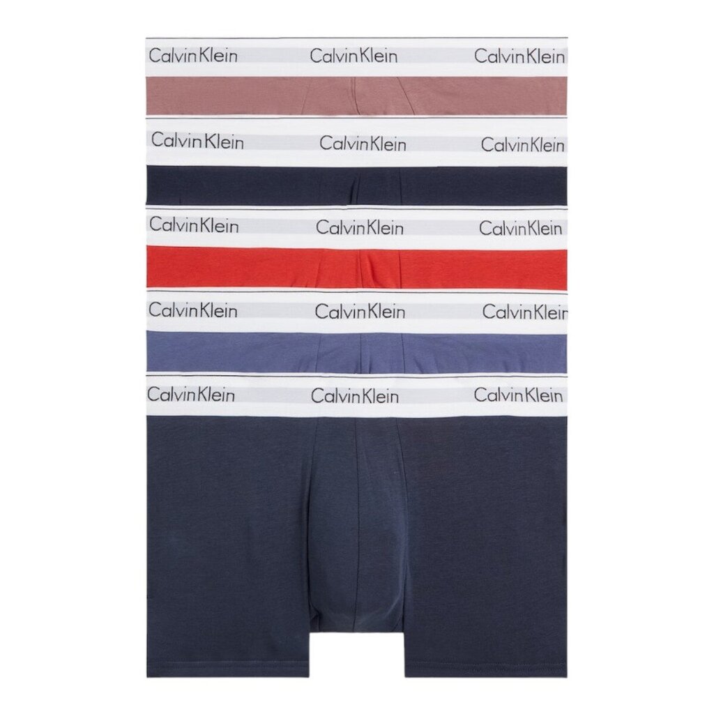 Trumpikės vyrams Calvin Klein Underwear 87243, įvairių spalvų, 5vnt. цена и информация | Trumpikės | pigu.lt