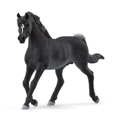 Figūrėlė Schleich Horse Club Arabų veislės žirgas цена и информация | Игрушки для мальчиков | pigu.lt