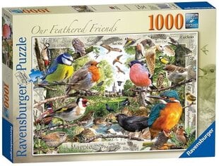 Dėlionė Ravensburger Our Feathered Friends, 1000 d. kaina ir informacija | Dėlionės (puzzle) | pigu.lt
