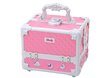 Kosmetikos rinkinys LeanToys Chest Suitcase Beauty Set Jewelry Cosmetics Pink, 1 vnt. цена и информация | Kosmetika vaikams ir mamoms | pigu.lt