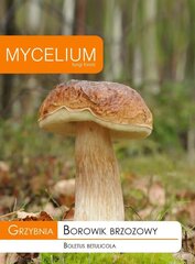 Beržyninis baravykas Mycelium цена и информация | Семена овощей, ягод | pigu.lt