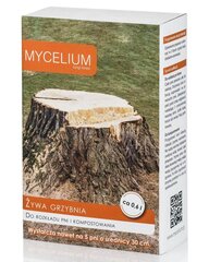 Grybiena kelmų irimui ir kompostavimui Mycelium цена и информация | Семена овощей, ягод | pigu.lt