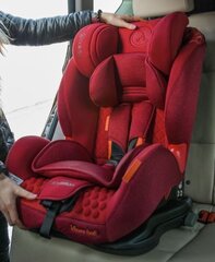 Автокресло Coletto Vivaro Isofix, 9-36 кг, темно-синий цена и информация | Автокресла | pigu.lt