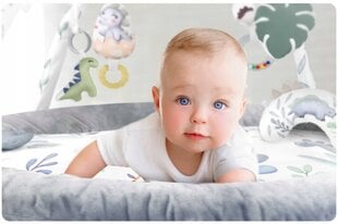 Interaktyvus edukacinis lavinamasis kilimėlis kūdikiams Nukido kaina ir informacija | Lavinimo kilimėliai | pigu.lt