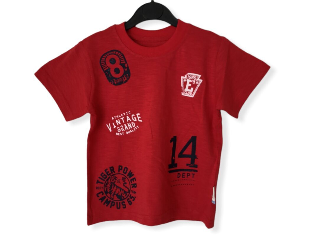 Marškinėliai berniukams Unruly, raudoni цена и информация | Marškinėliai berniukams | pigu.lt