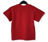 Marškinėliai berniukams Unruly, raudoni kaina ir informacija | Marškinėliai berniukams | pigu.lt