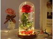 Amžinoji Rožė su LED apšvietimu, raudona цена и информация | Miegančios rožės, stabilizuoti augalai | pigu.lt