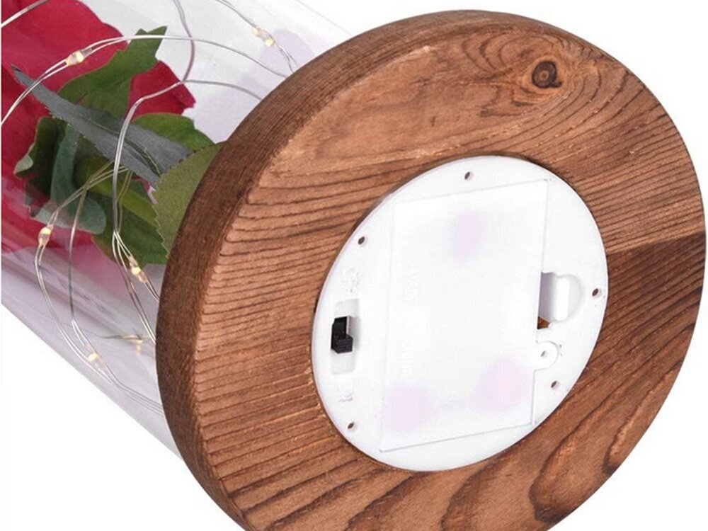 Amžinoji Rožė su LED apšvietimu, raudona цена и информация | Miegančios rožės, stabilizuoti augalai | pigu.lt