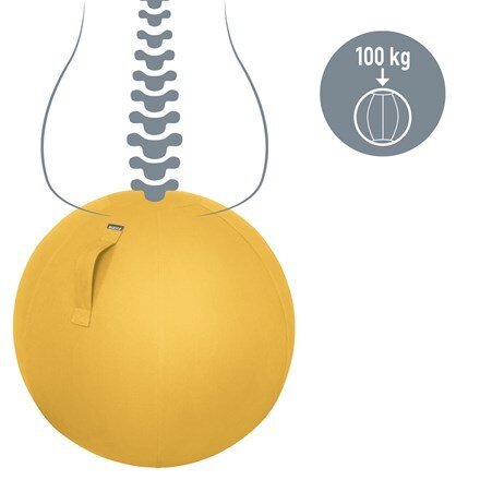 Gimnastikos kamuolys Leitz Ergo Cosy, 65 cm, geltonas kaina ir informacija | Gimnastikos kamuoliai | pigu.lt