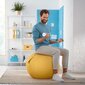 Gimnastikos kamuolys Leitz Ergo Cosy, 65 cm, geltonas kaina ir informacija | Gimnastikos kamuoliai | pigu.lt