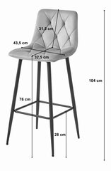4-ių kėdžių komplektas Leobert Nado, pilkas/juodas kaina ir informacija | Virtuvės ir valgomojo kėdės | pigu.lt