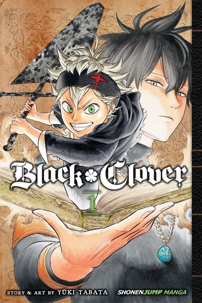 Komiksas Manga Black Clover Vol. 1 kaina ir informacija | Komiksai | pigu.lt