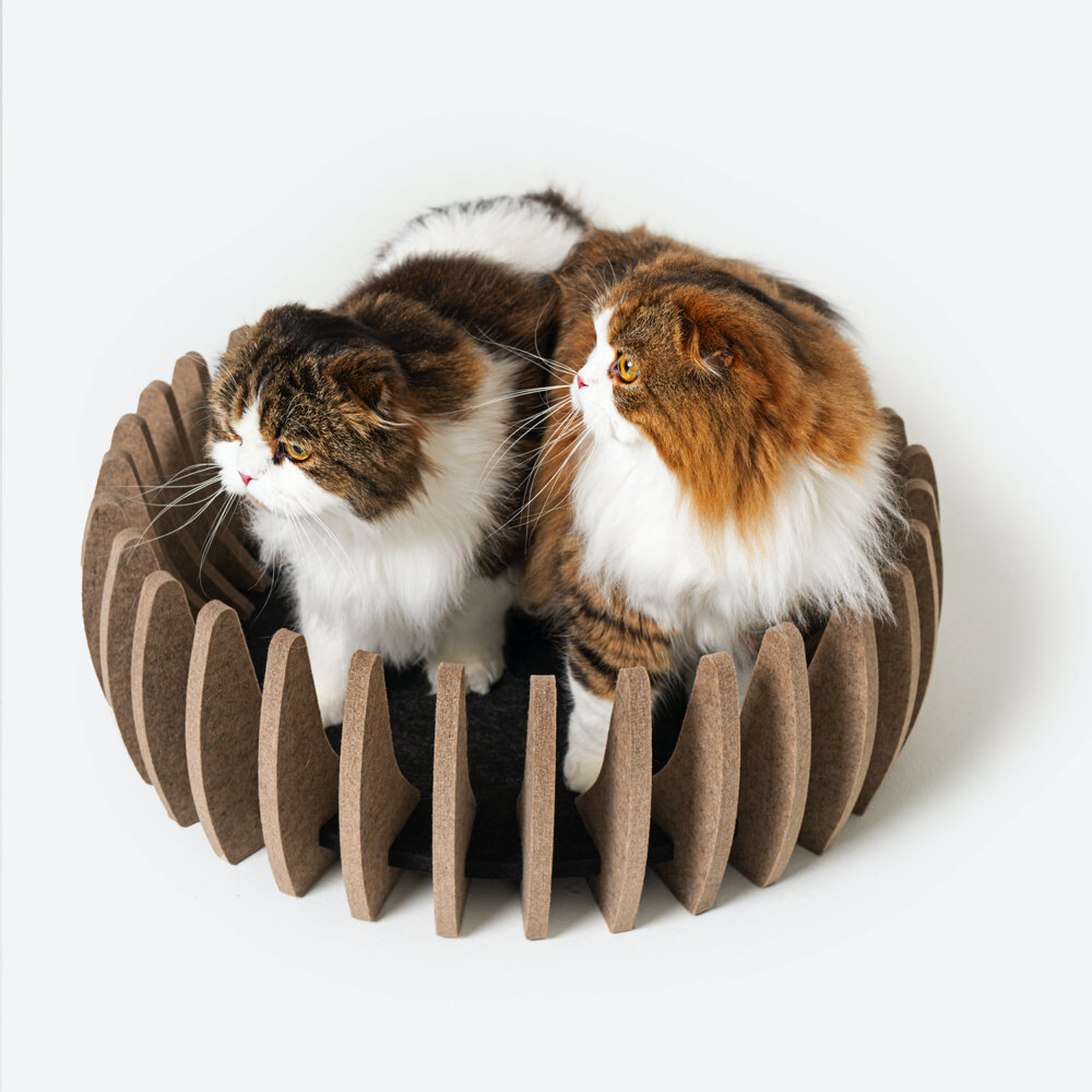 Guolis katėms Cathauzz Nap Nest kaina ir informacija | Guoliai, pagalvėlės | pigu.lt