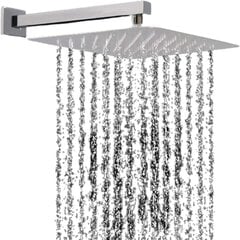 Sieninė lietaus dušo galvutė Acefy, 30x30cm, sidabrinė kaina ir informacija | Dušo komplektai ir panelės | pigu.lt