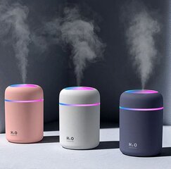 Увлажнитель со светодиодной подсветкой H2O HUMIDIFIER цена и информация | Увлажнители воздуха | pigu.lt