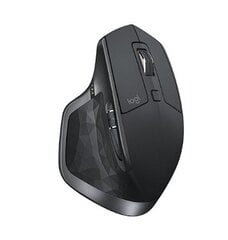 Logitech MX WL Black 910-007224 цена и информация | Мыши | pigu.lt